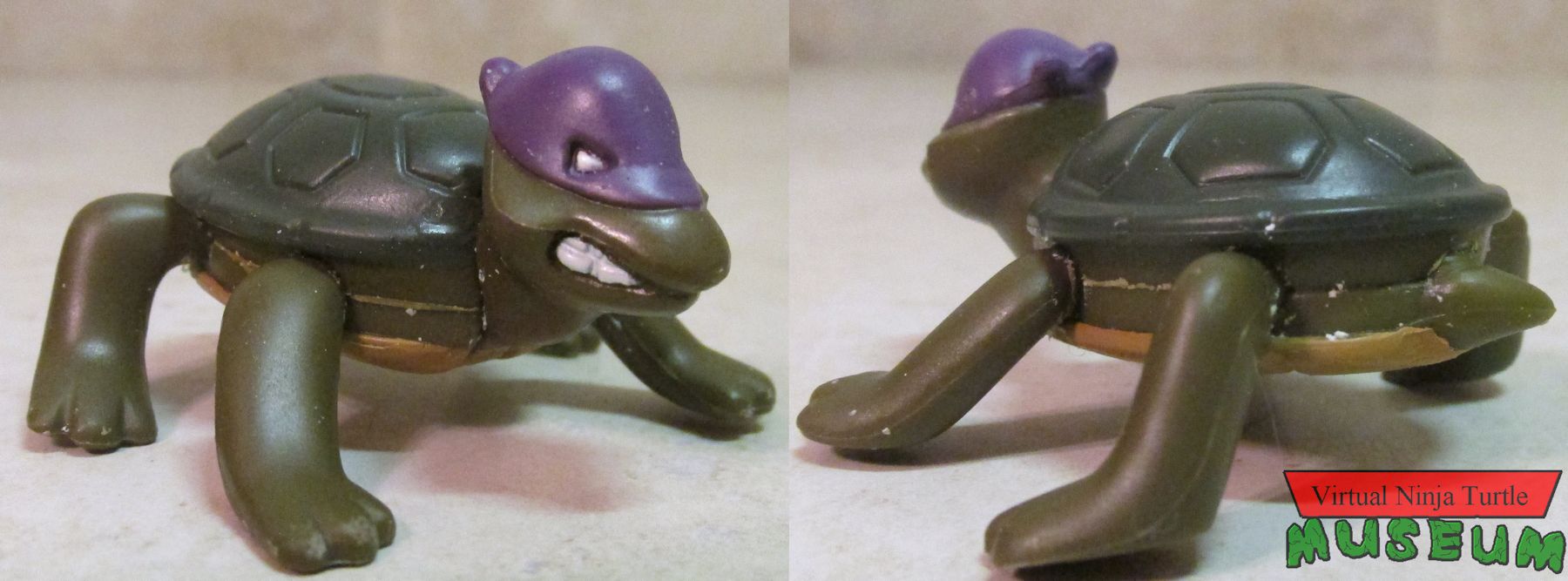 turtle Donatello front and back