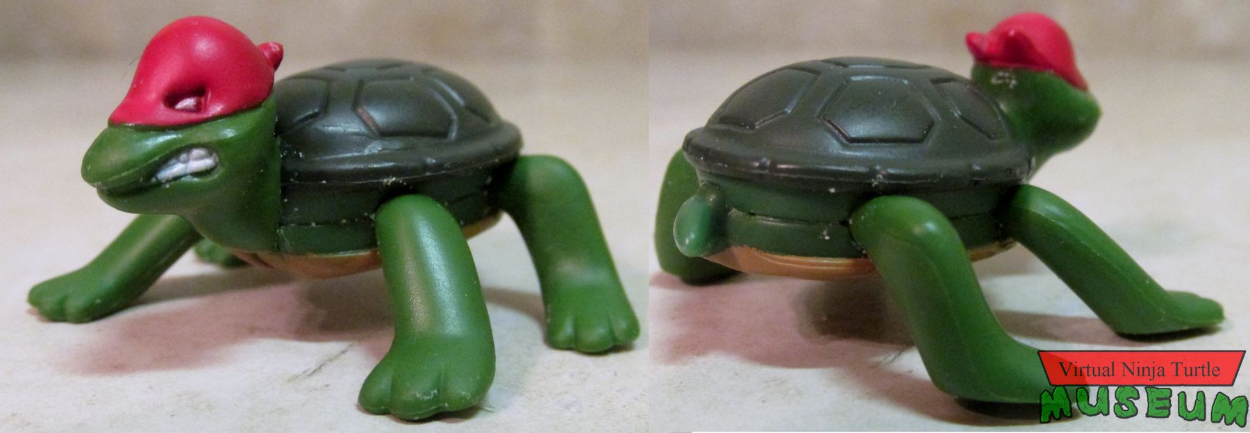 turtle Raphael front and back