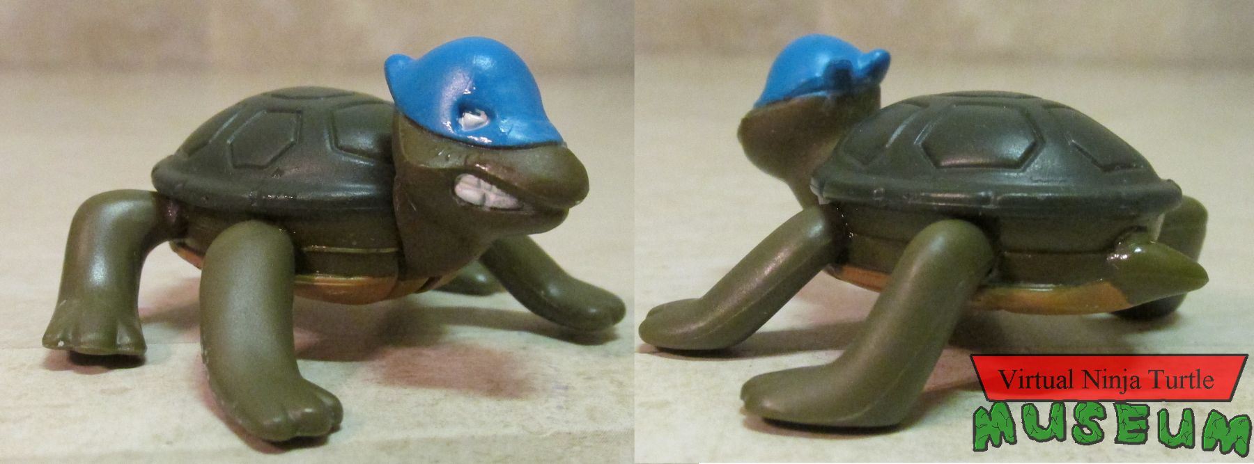 Leonardo turtle form front and back