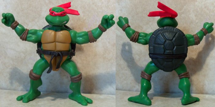 Shellastic Raph front and back