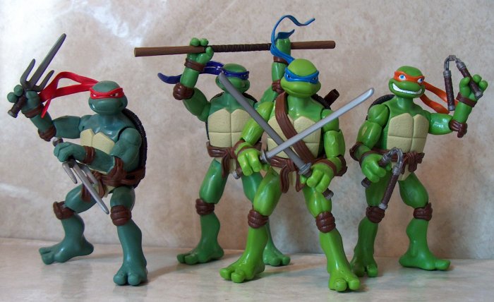 Turtle group photo