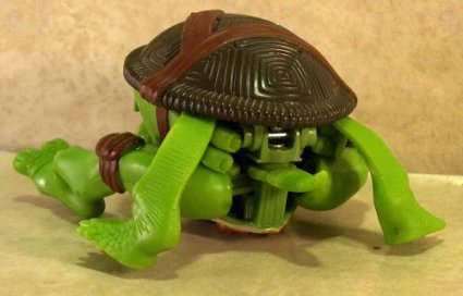 turtle rear view (Leo)