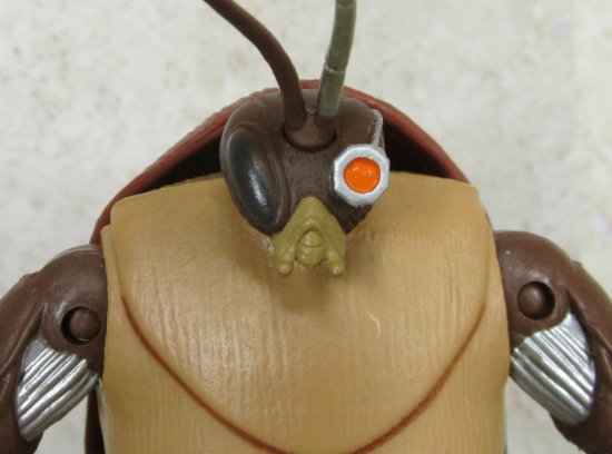 Cockroach Terminator close up