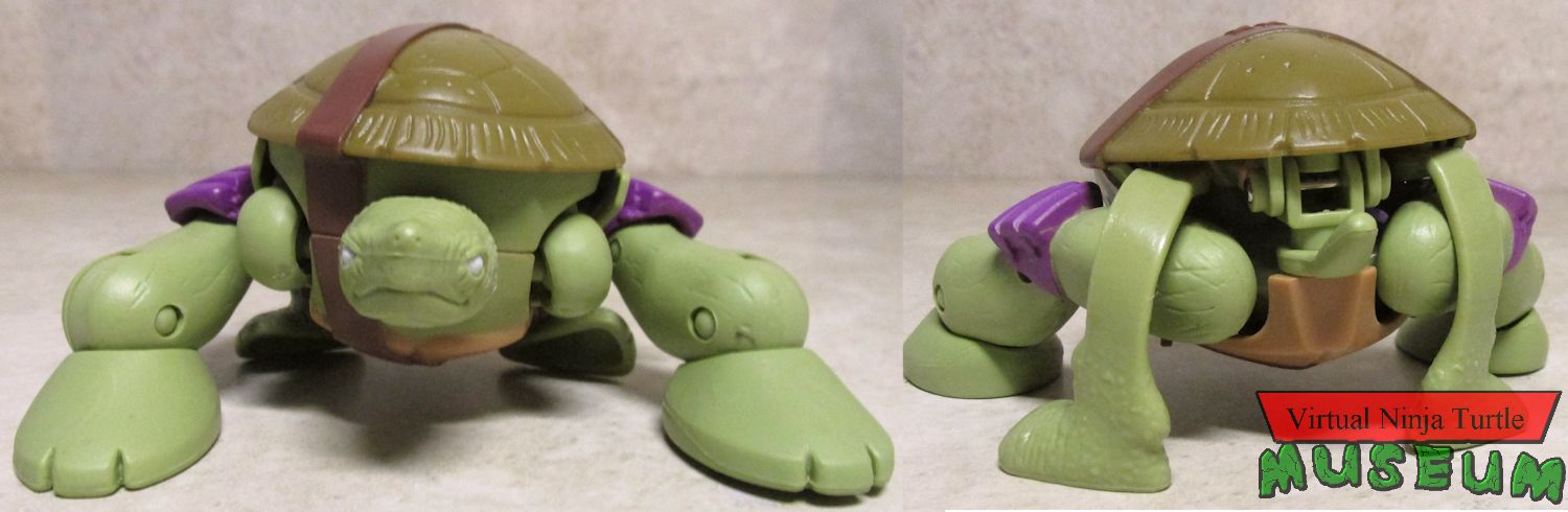 Donatello pet form front and back