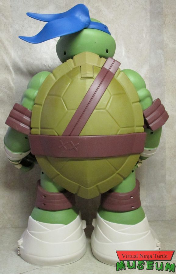 Turtle form rear view