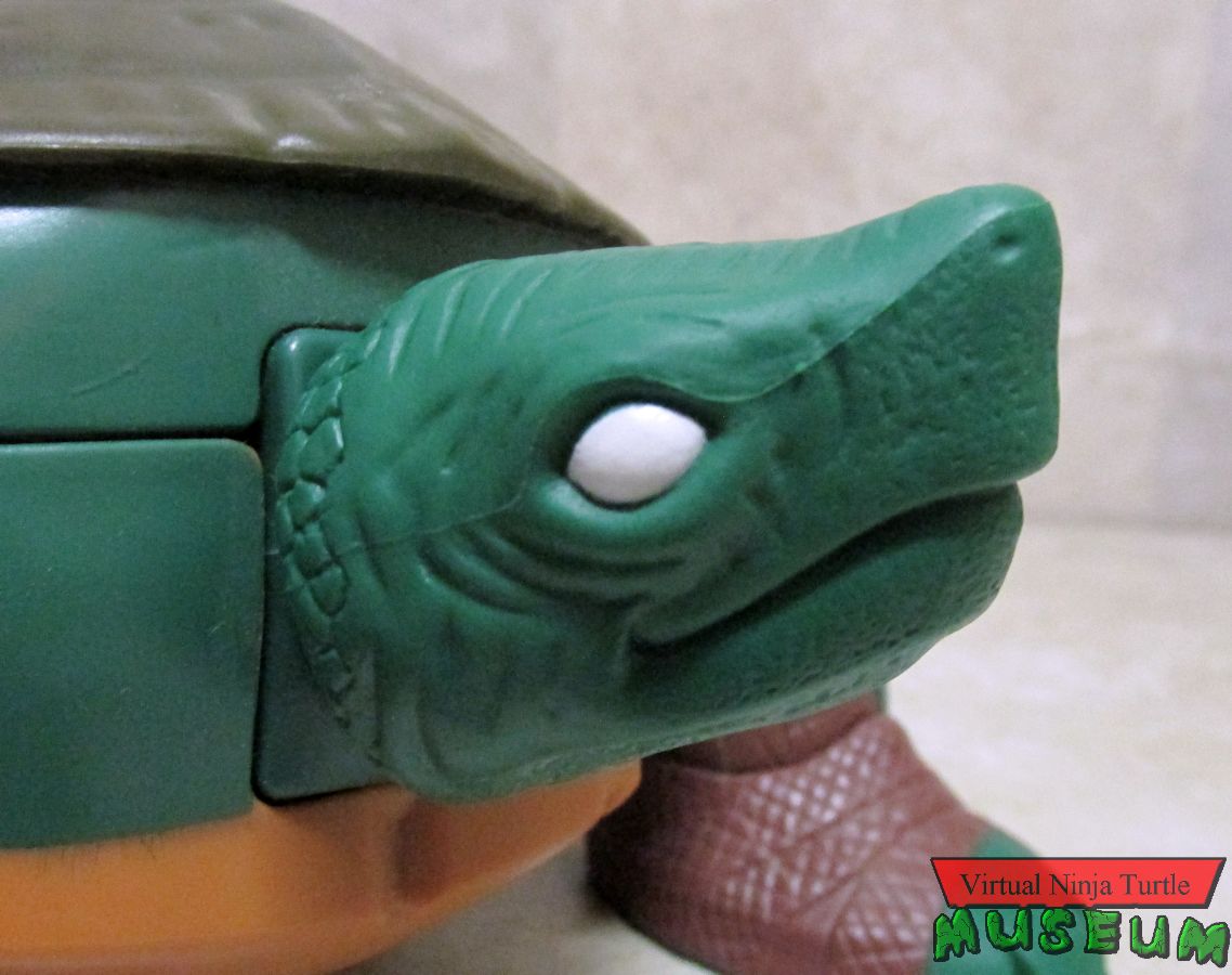 Mutations Raphael pet turtle head