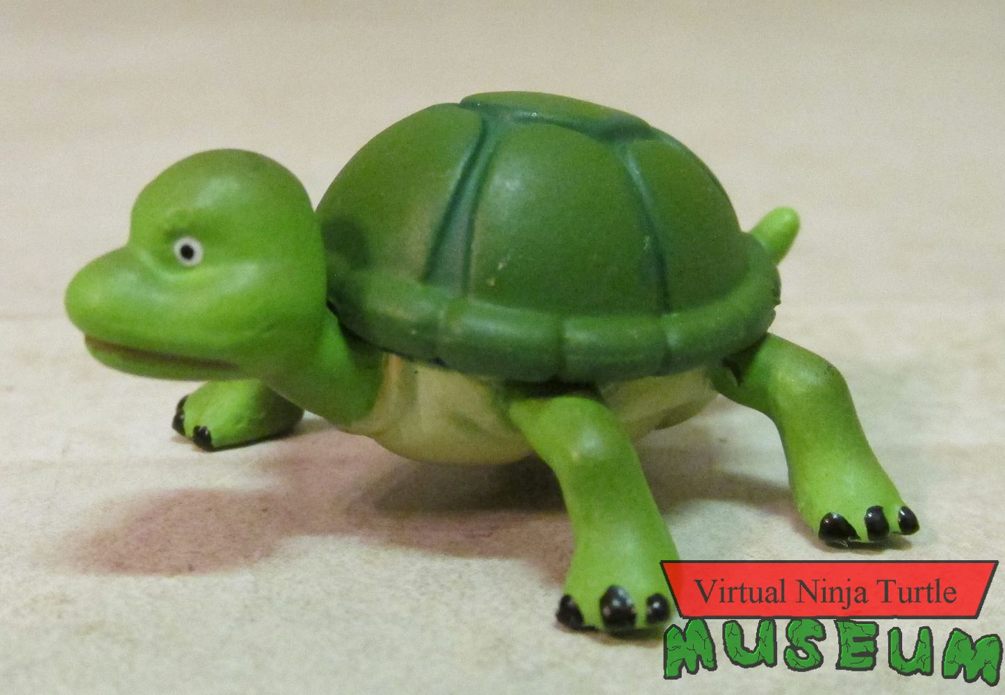 unmutated turtle