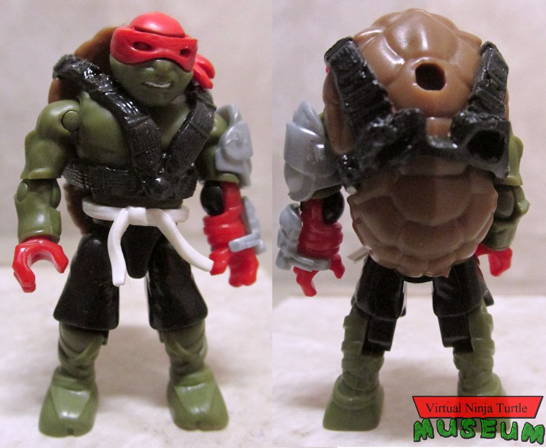 Raphael front and back