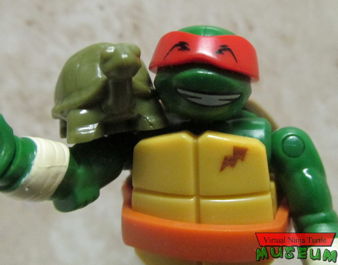 Series Two Raphael close up