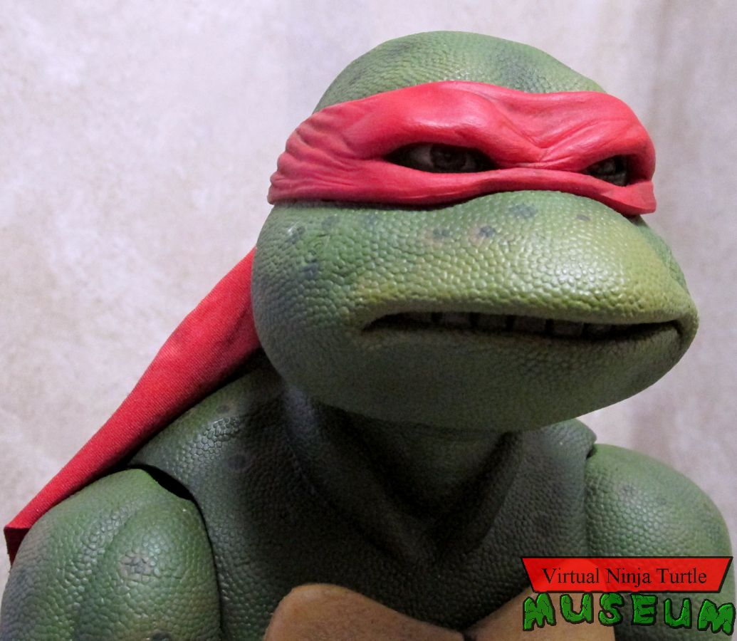 Raphael close up 2