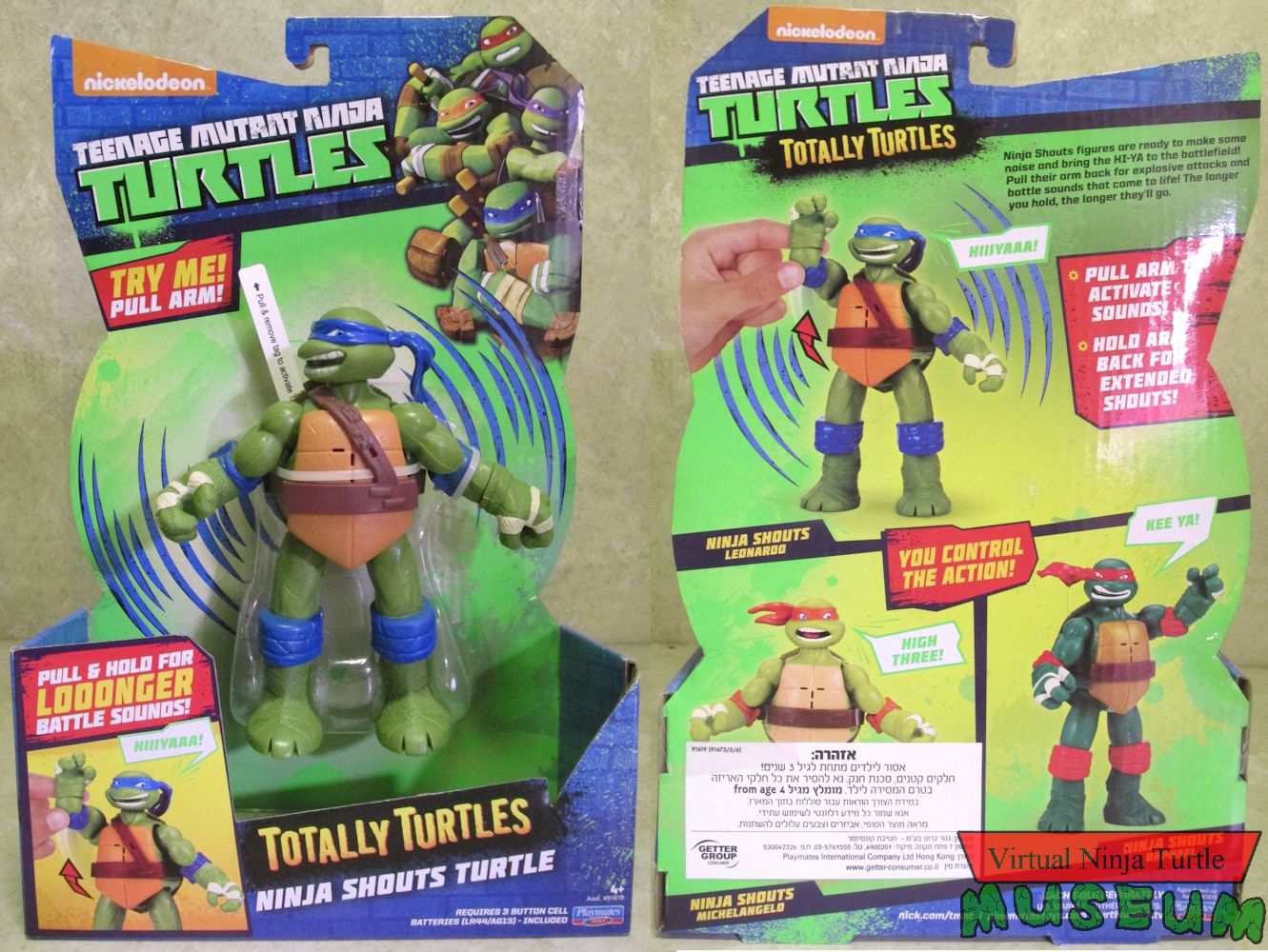 Totally Turtles card front and back