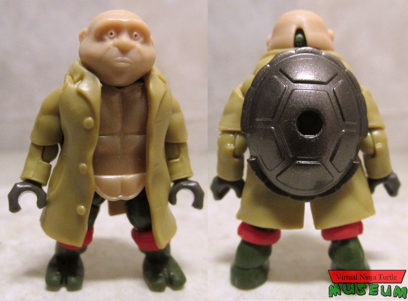 Raphael in disguise front and back