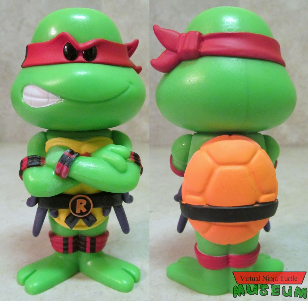 Raphael front and back