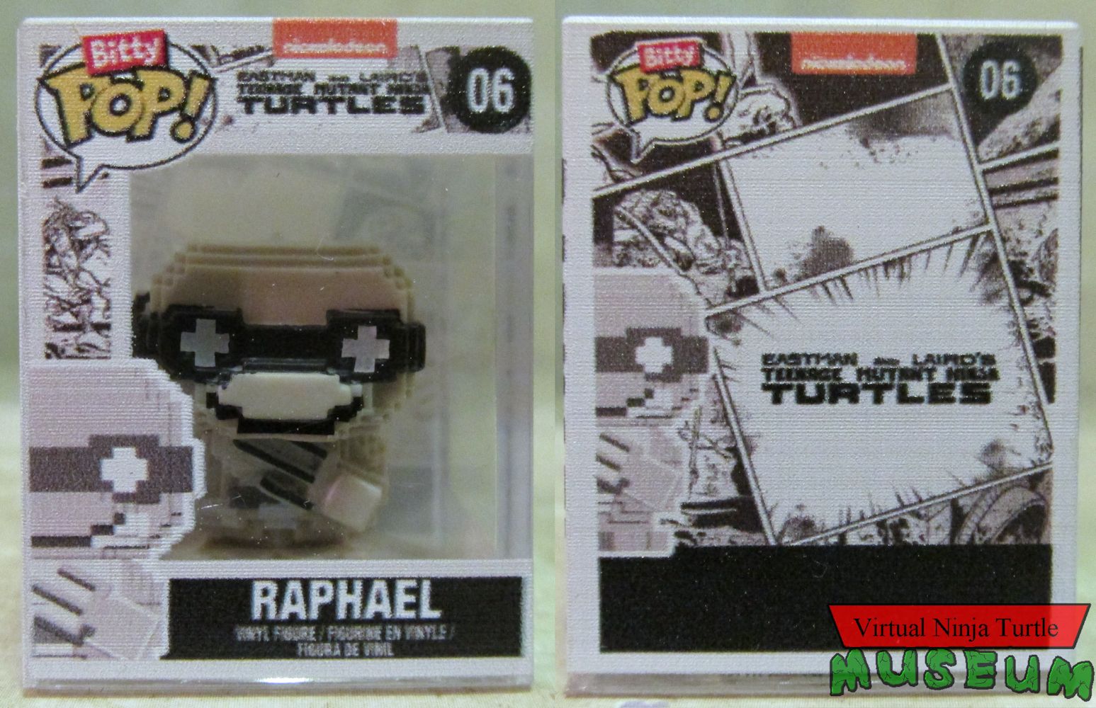 8Bit Raphael in case front and back