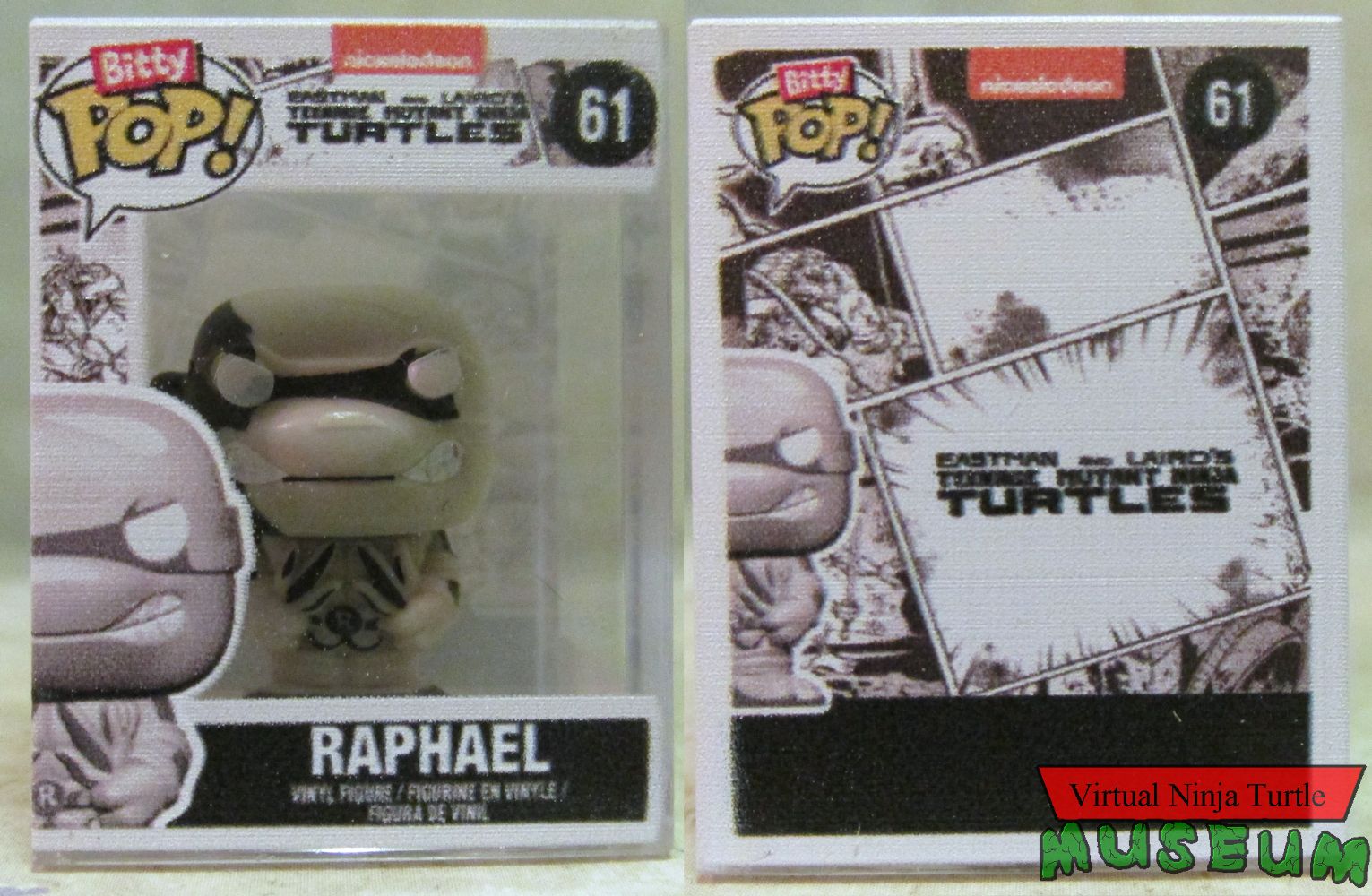 Raphael in case front and back