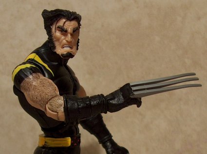 U. Wolverine's claws