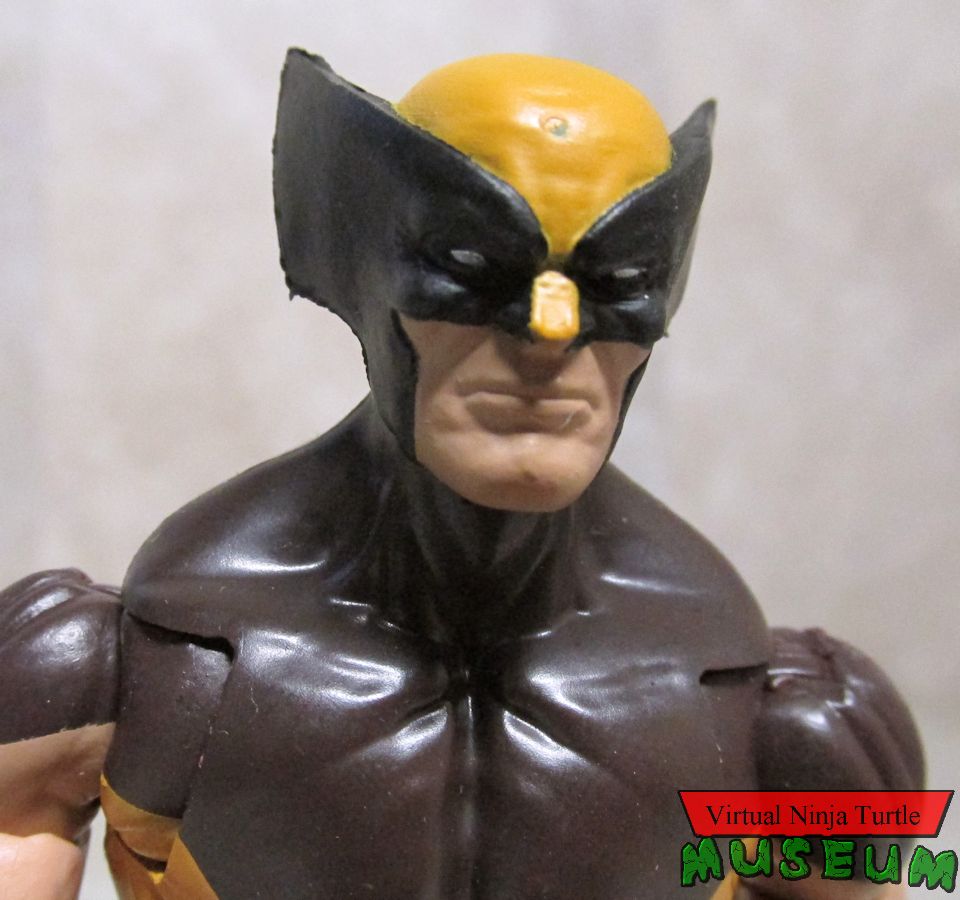 Wolverine close up