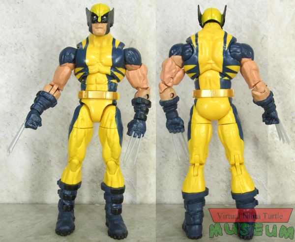 Wolverine front and back