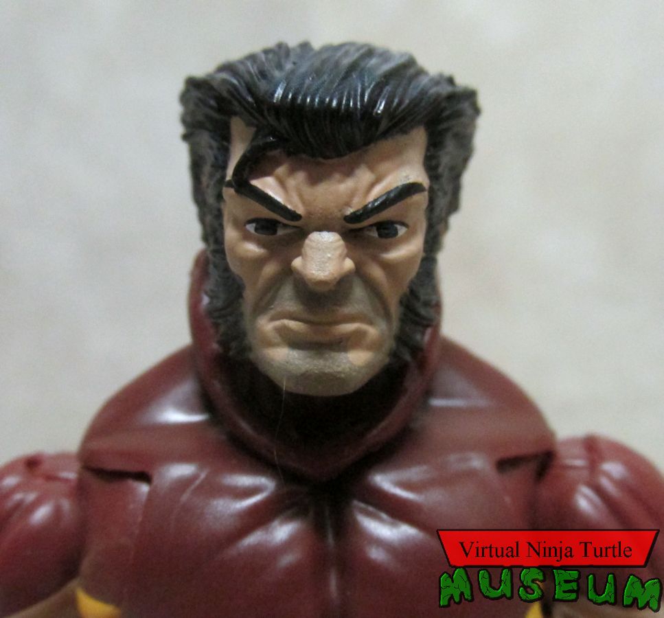 Wolverine unmasked