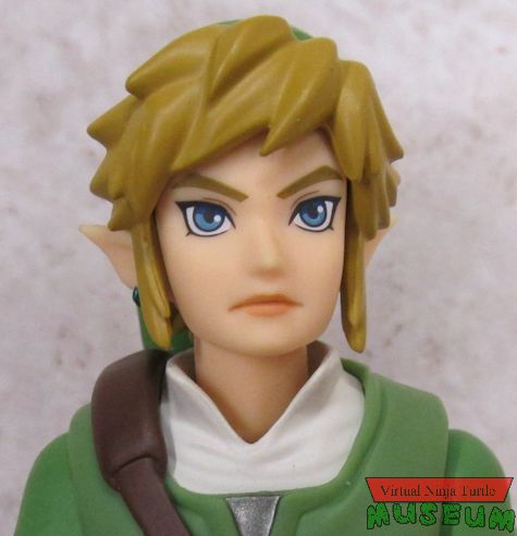 Link close up