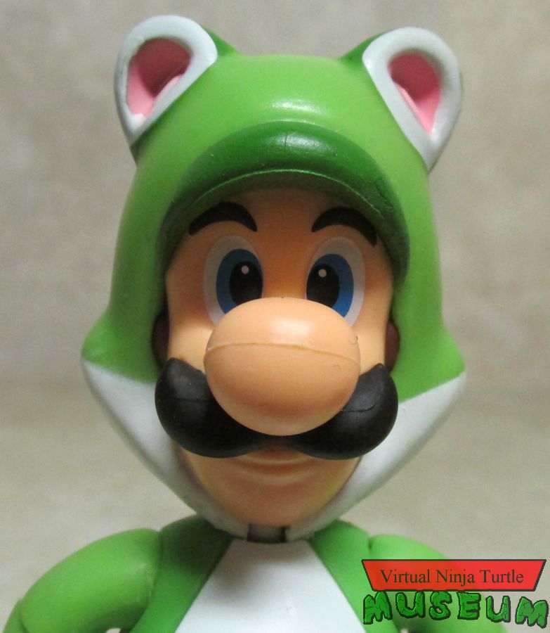 Cat Luigi close up